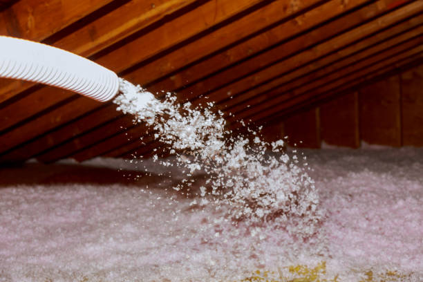 Best Attic Insulation Installation  in Auburn, MI
