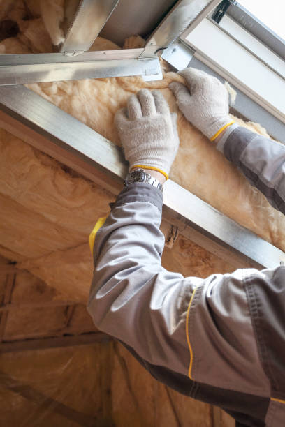 Best Local Insulation Services  in Auburn, MI