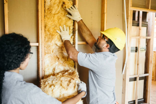 Best Soundproof Insulation Installation  in Auburn, MI