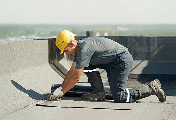 Best Attic Insulation Installation  in Auburn, MI